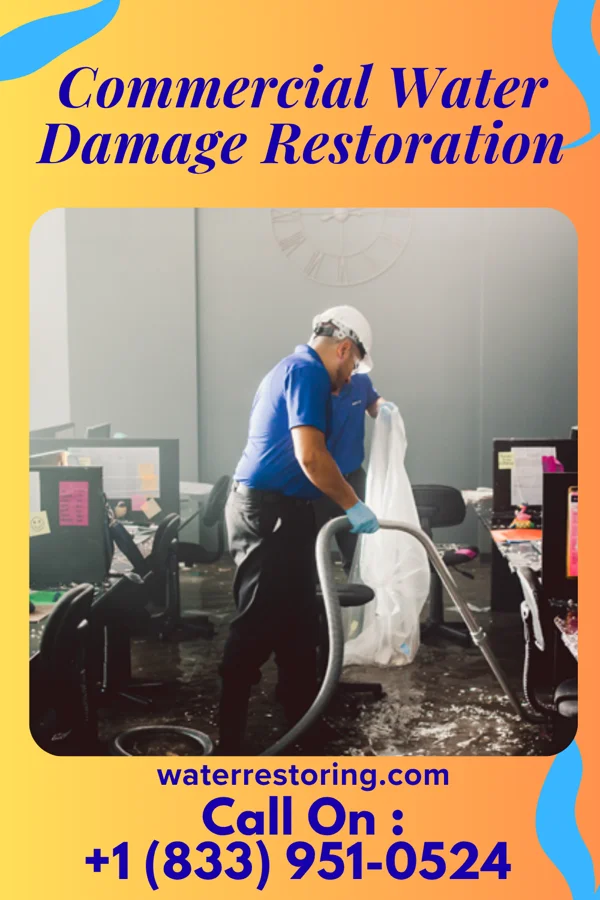 Commercial Water Damage Restoration in Raymond, SD